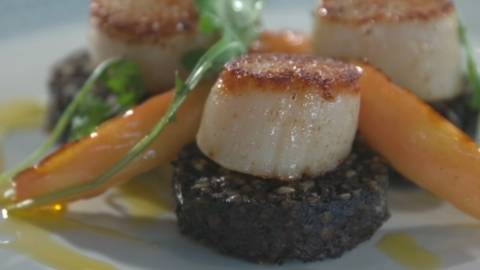 The Restaurant Cook Off Starter - Deluxe Scallop & Black Pudding Vanilla Apple Puree, Dressed Salad